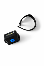 Bright Reel Hands-Free Light
